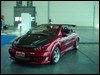 peugeot_206_cc_21.jpg
